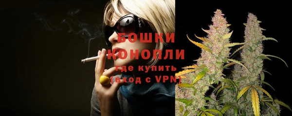 spice Аркадак