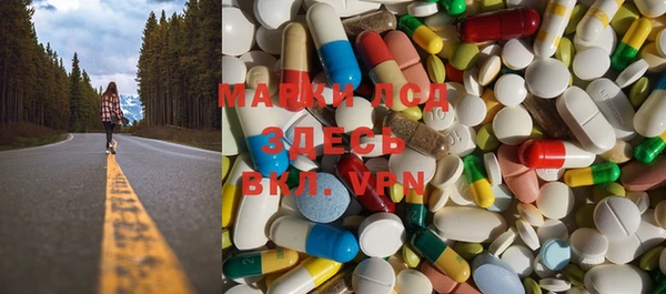 spice Аркадак