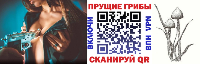 наркотики  Нязепетровск  Галлюциногенные грибы прущие грибы 