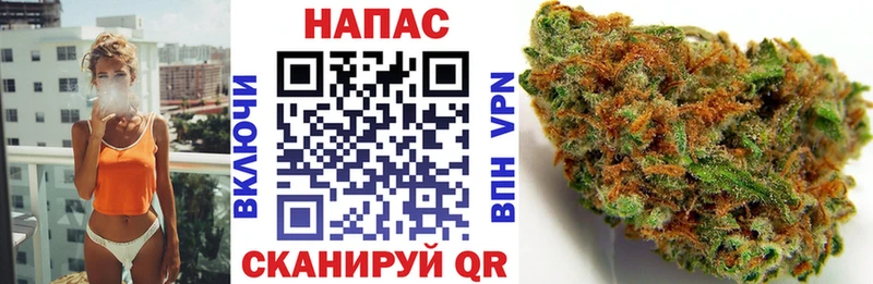 Бошки марихуана сатива  где купить наркотик  Нязепетровск 